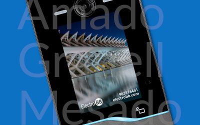 El reto de las grandes comunidades Fermax: Amado Granell Mesado